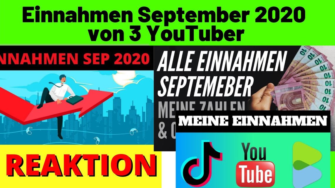 Einnahmen September 2020 ✅  Einnahmen Youtube, Digistore24, TikTok, Dividenden [Michael Reagiertauf]